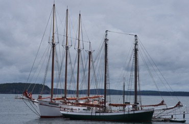 Margaret Todd at Anchor