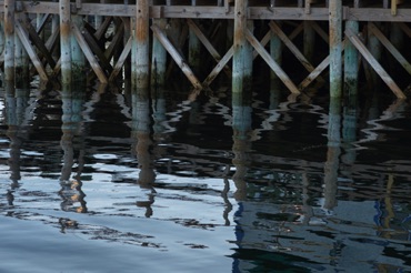 Dock Pilings, Port Clyde