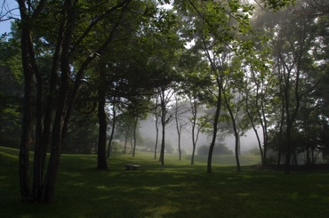 Morning Mist, York