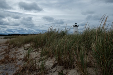 Dune Grass, Edgartown