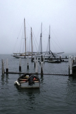 Misty Morning, Vineyard Haven