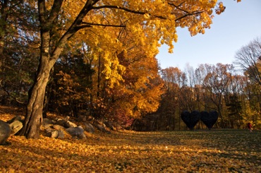 Two Big Black Hearts by Jim Dine, DeCordova Sculpture Park