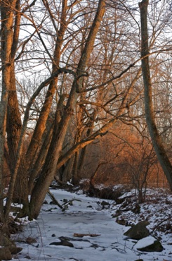 Bating Brook