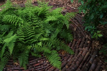 Yin Yang by W. Gary Smith, Garden in the Woods, Framingham