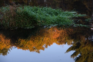 Assabet Reflection