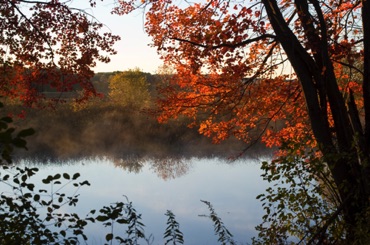 Morning on the Sudbury River, Water Row