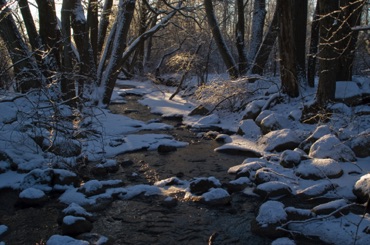 Bating Brook, Winter