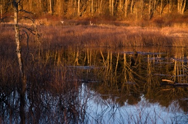 Early Light on the Sudbury River