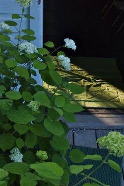 Cabin entrance, Jacobs Pillow