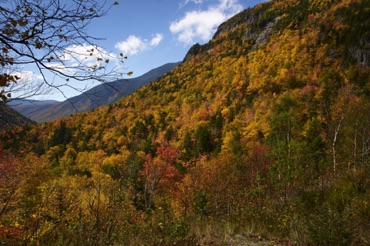 Crawford Notch